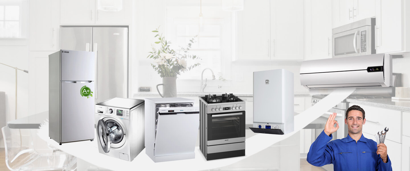 Aralık Daikin Servisi
